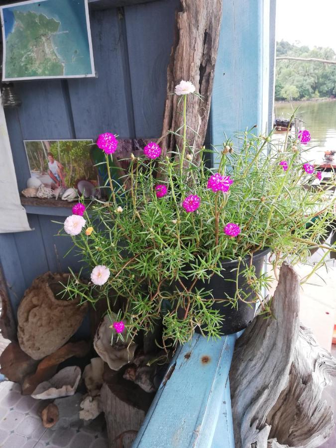 Firefly Guesthouse Prek Svay Village 외부 사진